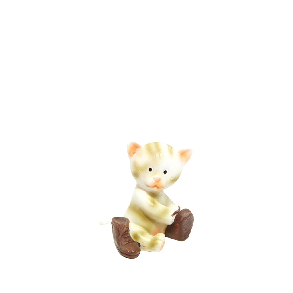 Gato con botas