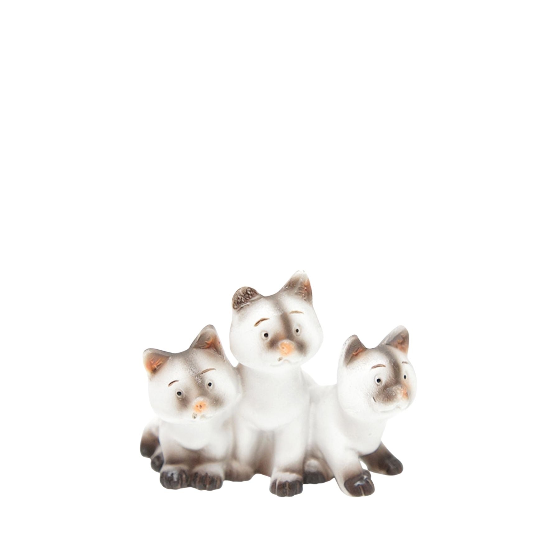 Grupo de gatos
