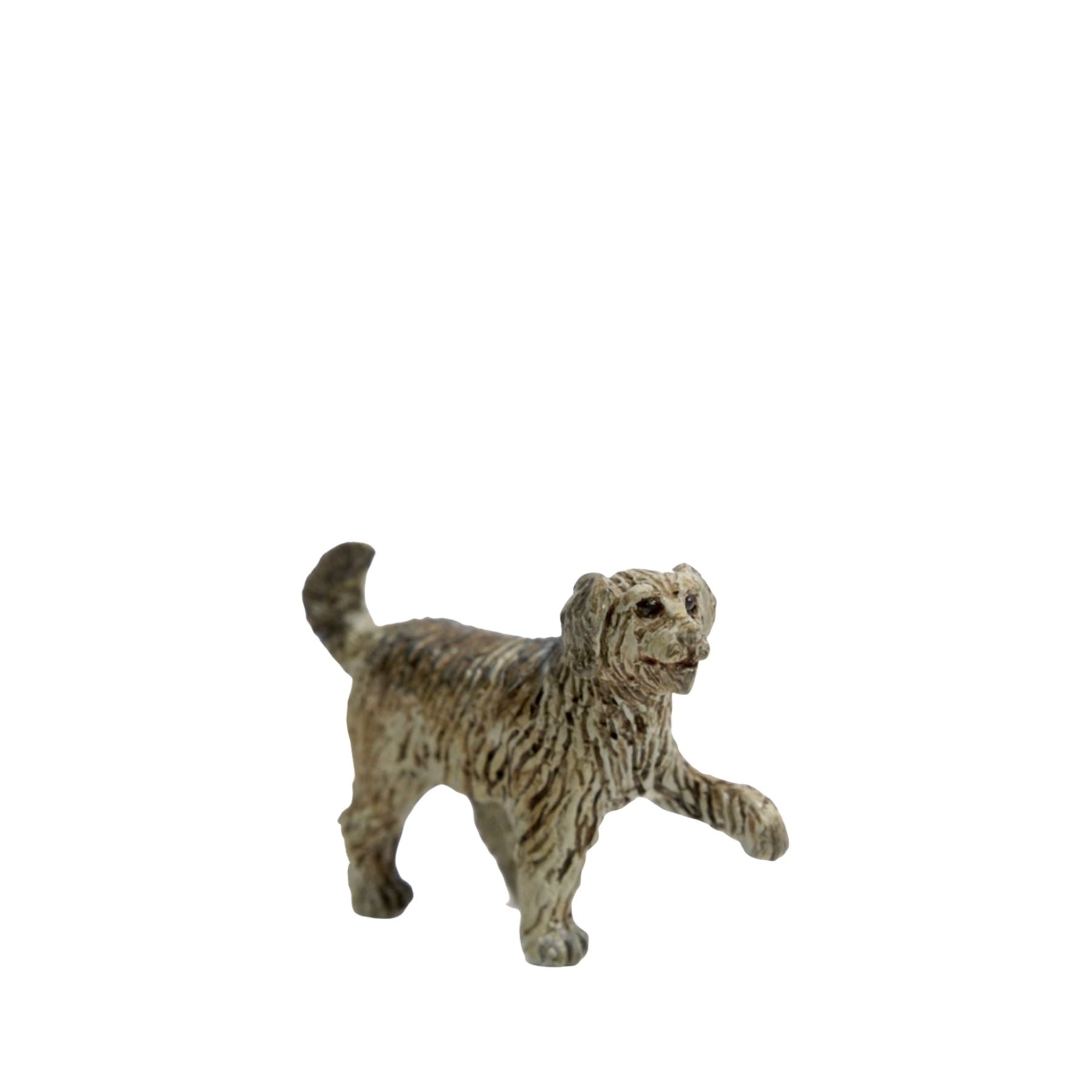 Perro