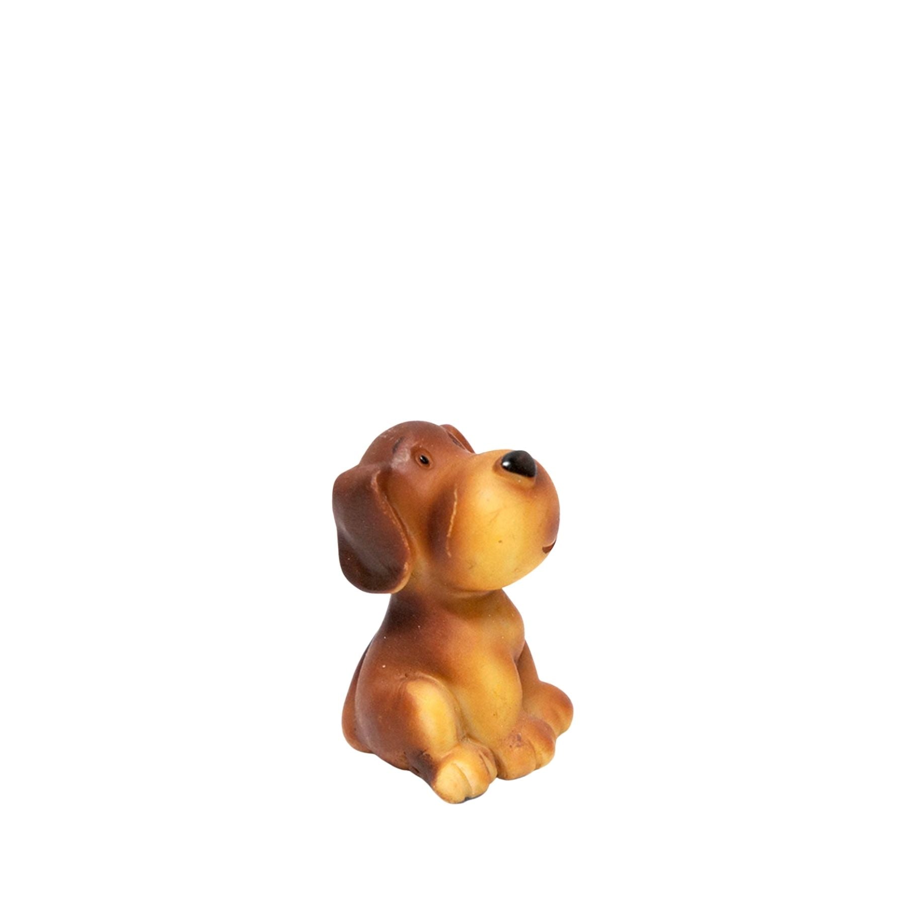 Perro sentado