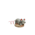 Rata