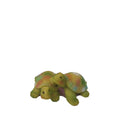 Tortugas jugando