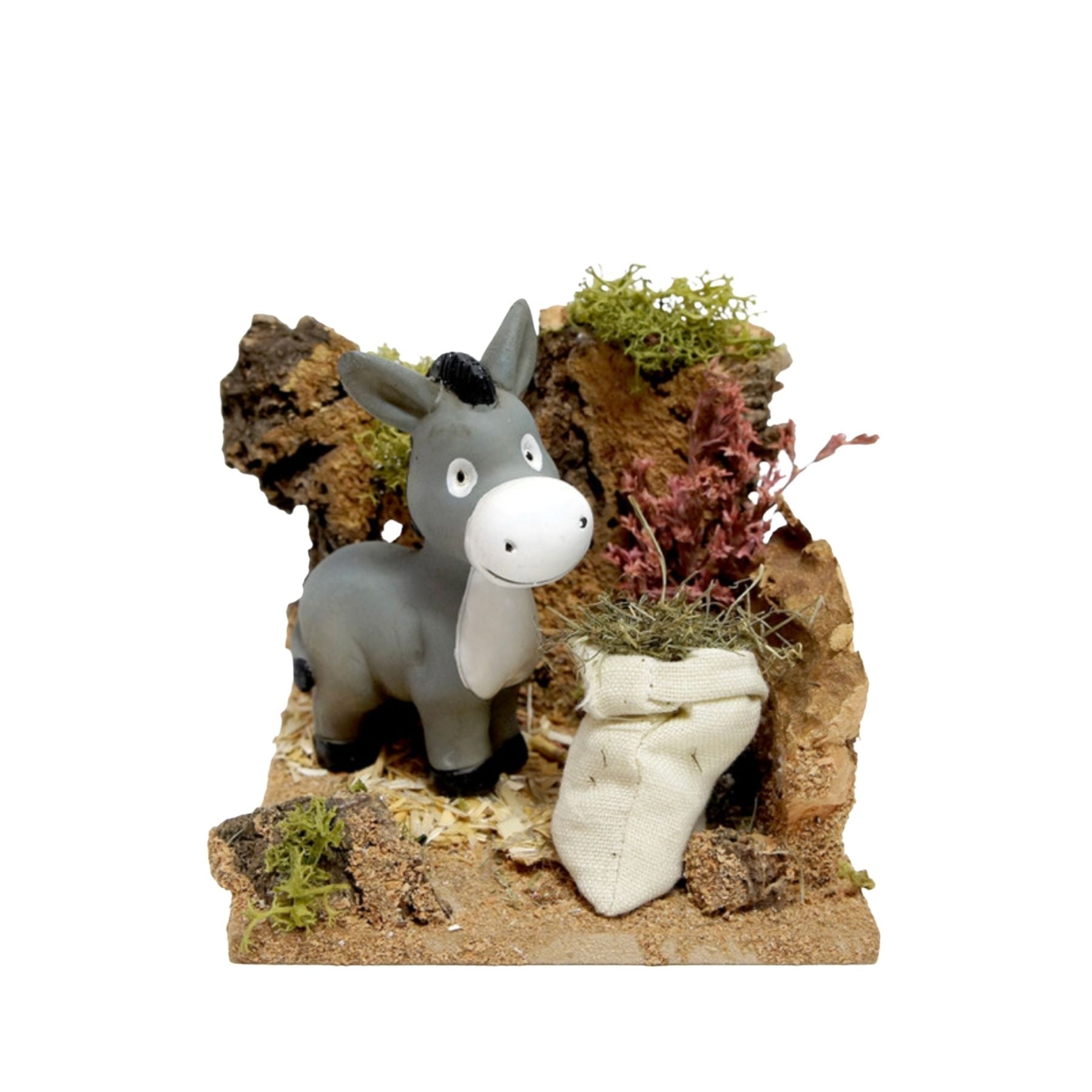 Corral con burro (burro Little X'Mas de Reilaflor)