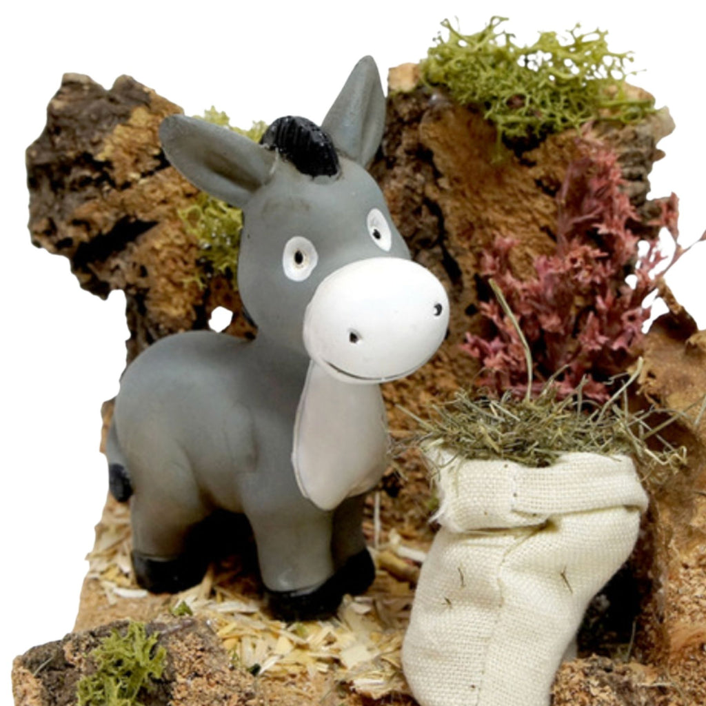 Corral con burro (burro Little X'Mas de Reilaflor)